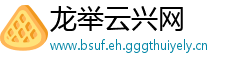 龙举云兴网